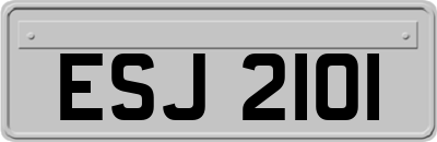 ESJ2101
