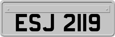 ESJ2119