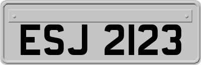 ESJ2123