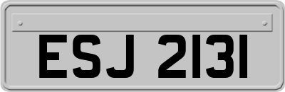 ESJ2131