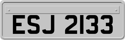 ESJ2133