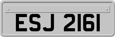 ESJ2161