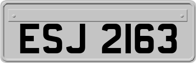 ESJ2163