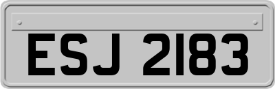 ESJ2183