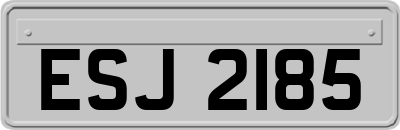 ESJ2185