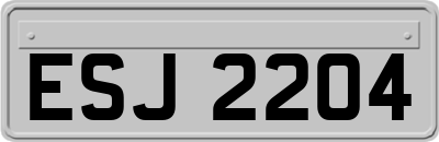 ESJ2204