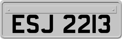 ESJ2213