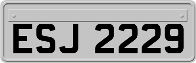 ESJ2229