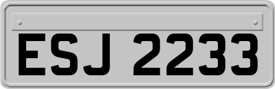 ESJ2233
