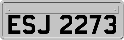 ESJ2273