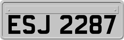 ESJ2287