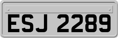 ESJ2289