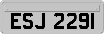 ESJ2291
