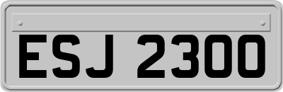 ESJ2300