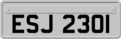 ESJ2301