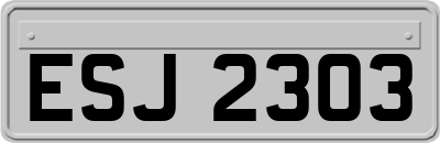 ESJ2303
