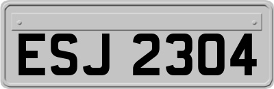 ESJ2304