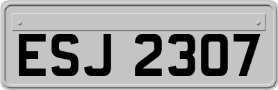 ESJ2307