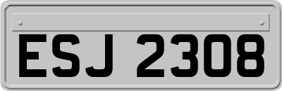 ESJ2308