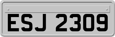 ESJ2309