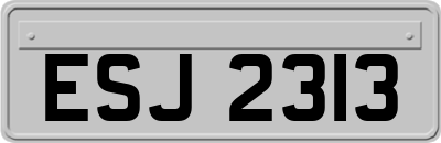 ESJ2313