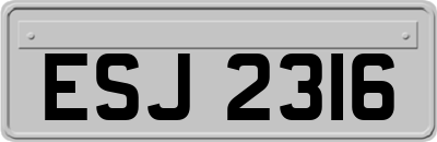 ESJ2316