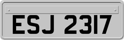 ESJ2317