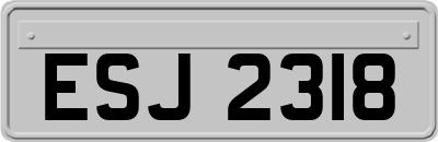 ESJ2318
