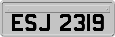 ESJ2319