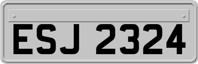 ESJ2324