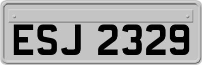 ESJ2329