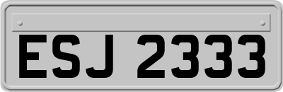 ESJ2333