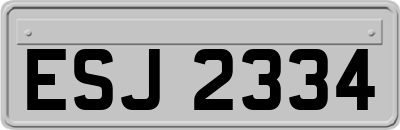 ESJ2334