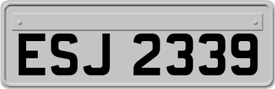 ESJ2339