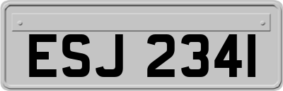 ESJ2341