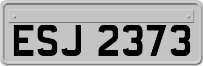 ESJ2373