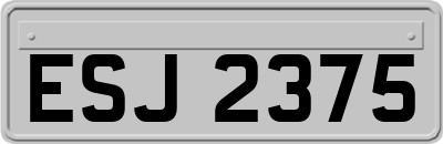 ESJ2375