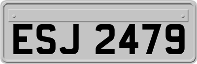 ESJ2479