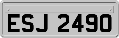 ESJ2490