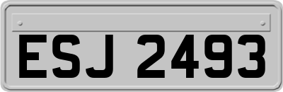 ESJ2493