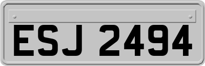 ESJ2494