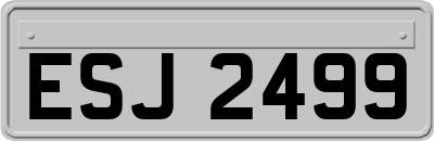 ESJ2499