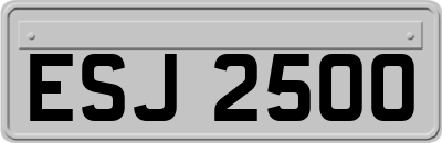 ESJ2500