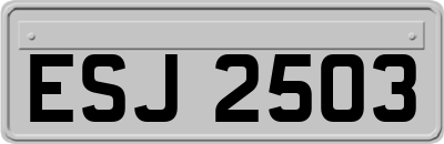 ESJ2503
