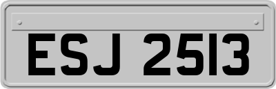 ESJ2513