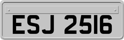 ESJ2516