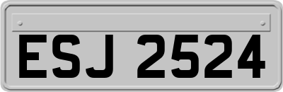 ESJ2524