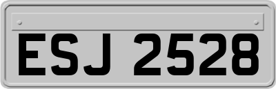 ESJ2528