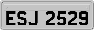 ESJ2529