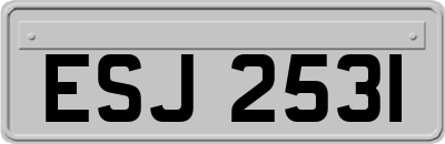 ESJ2531